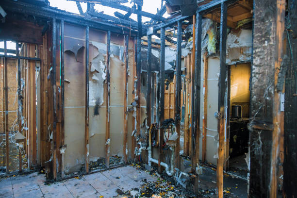Professional Structural Rebuild technician working in Rosemount, MN